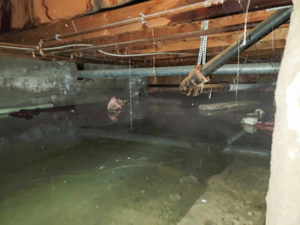 Best Water damage mitigation services  in Crooksville, OH