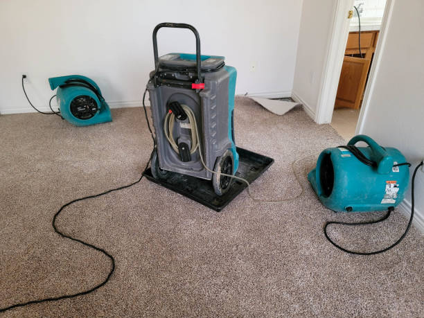 Best Water damage restoration near me  in Crooksville, OH