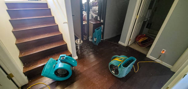 Professional Water damage restoration in Crooksville, OH