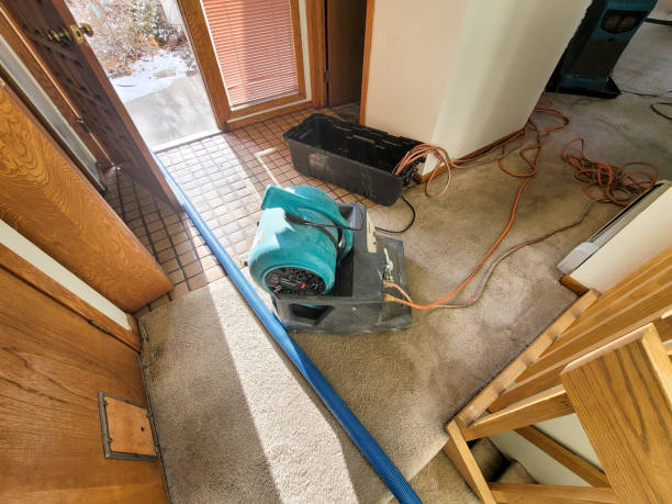 Best Flood damage cleanup  in Crooksville, OH