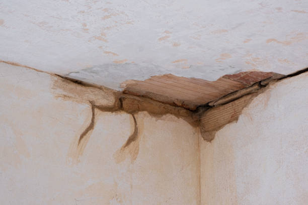 Best Water damage restoration mold remediation  in Crooksville, OH