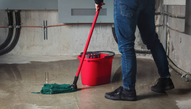 Best 24/7 water damage repair  in Crooksville, OH