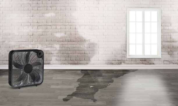 Best Fire Damage Restoration  in Crooksville, OH