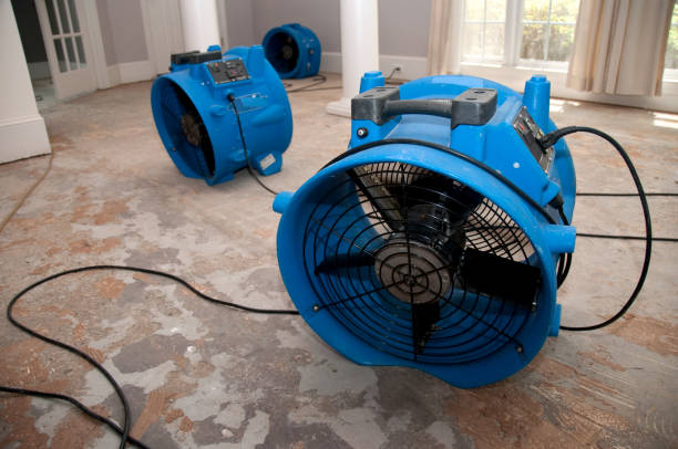 Best Water damage restoration near me  in Crooksville, OH
