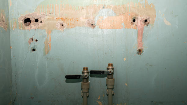 Best Water damage cleanup near me  in Crooksville, OH